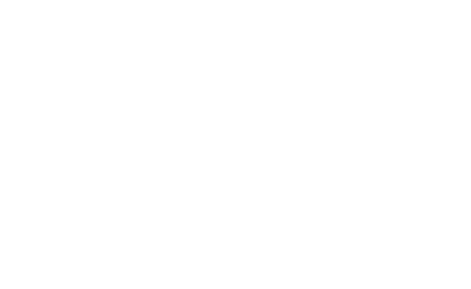 INP Solutions Lösningar